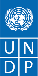 UN house(UNDP) logo